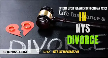 Life Insurance Asset Status in New York Divorces