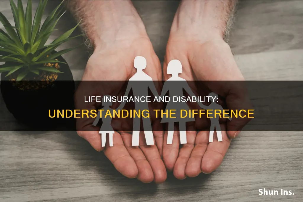 is term life insurance considered diability insurance