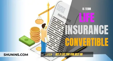 Convert Term Life Insurance: Is It Possible?