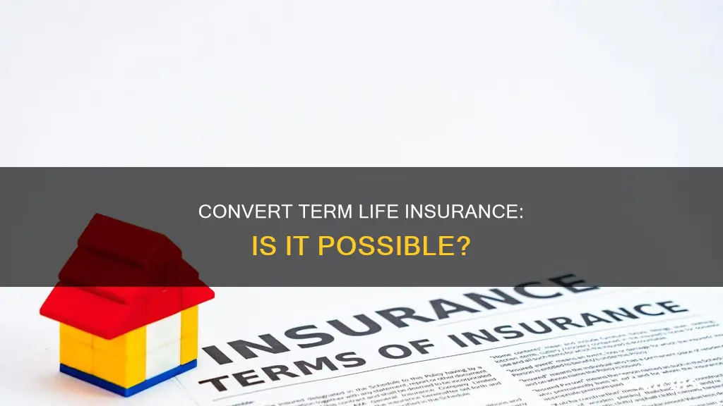 is term life insurance convertible