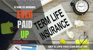 Term Life Insurance: Paid Up or Not?