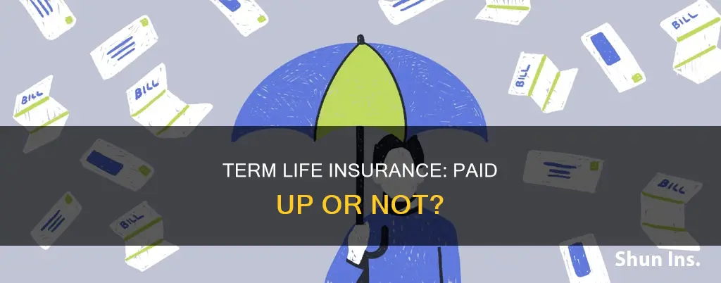 is term life insurance ever paid up