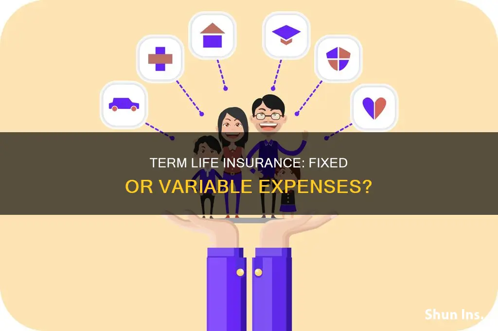 is term life insurance fixed or variable