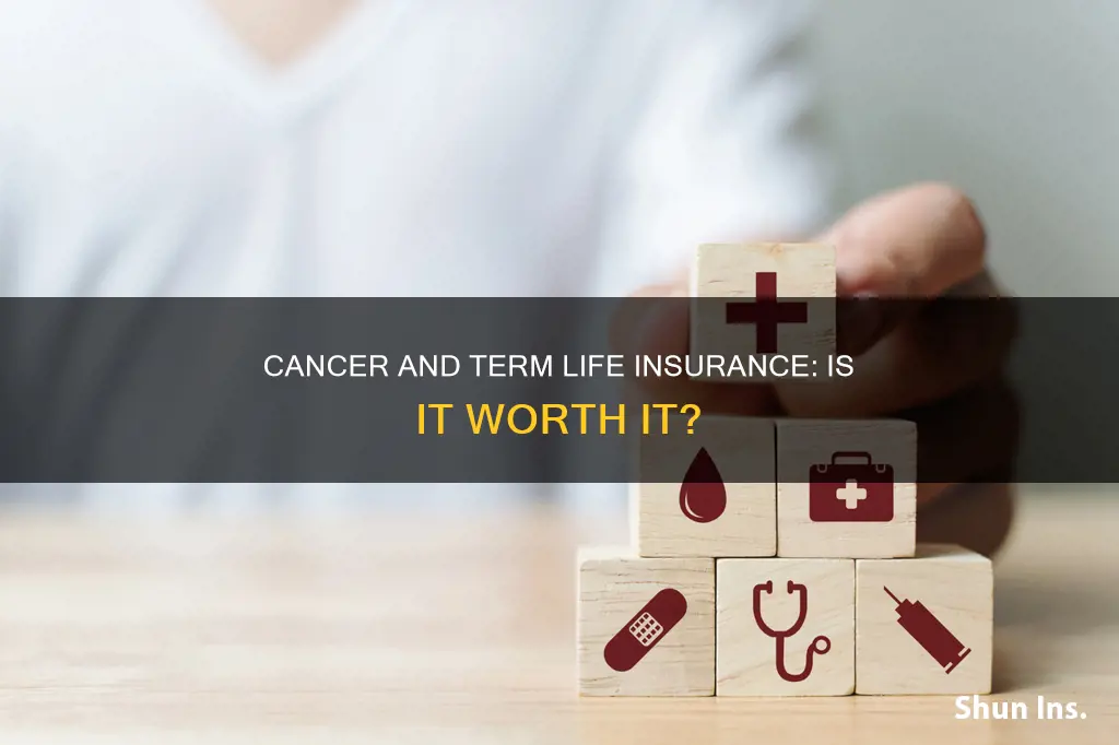 is term life insurance good for cancee