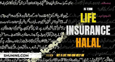 Term Life Insurance: Halal or Haram?