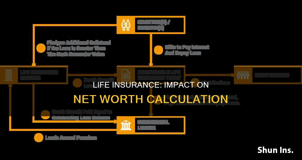 is term life insurance included in net worth