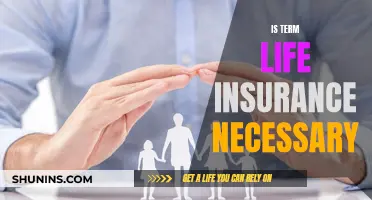 Life Insurance: Term Policies, Are They Worth It?