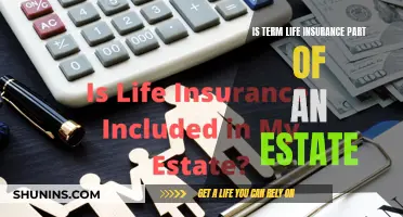 Life Insurance and Estate Planning: What's the Connection?