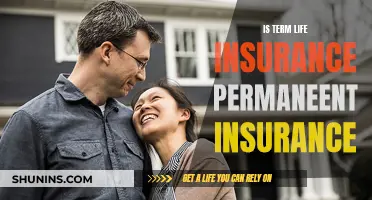 Term Life Insurance: Permanent or Temporary Solution?