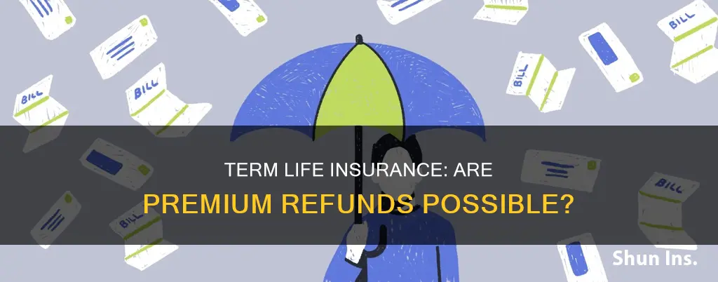 is term life insurance refundable