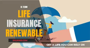 Term Life Insurance: Can You Renew Policies?