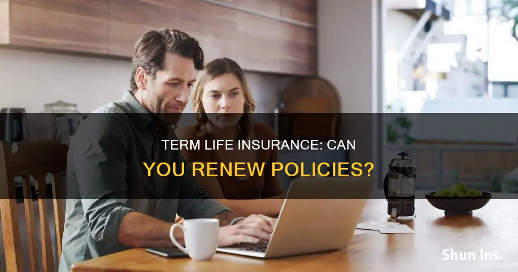 is term life insurance renewable