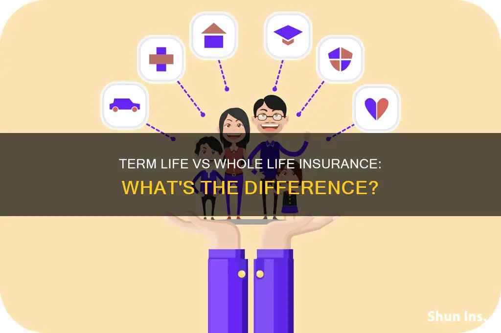 is term life insurance whole ife