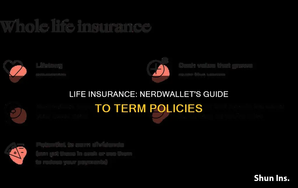 is term life insurance worth it nerdwallet