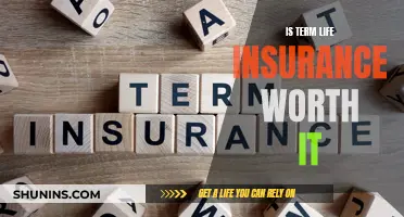 Term Life Insurance: Worth the Cost?