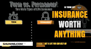 Term Life Insurance: Worth the Investment?
