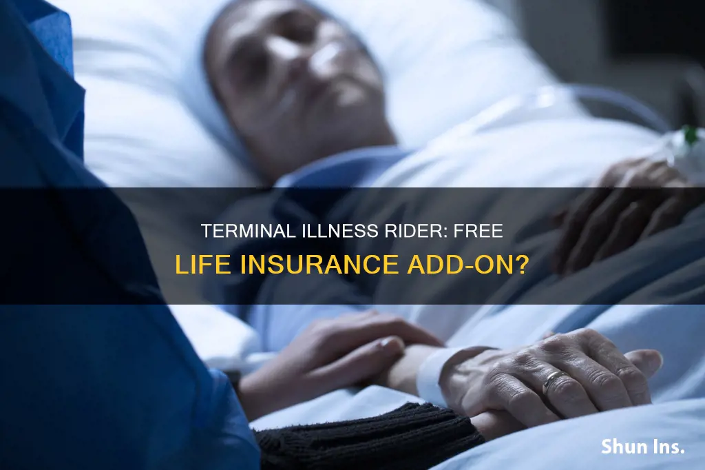 is terminal illness rider life insurance free