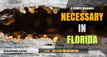 Termite Insurance in Florida: Is It Necessary?