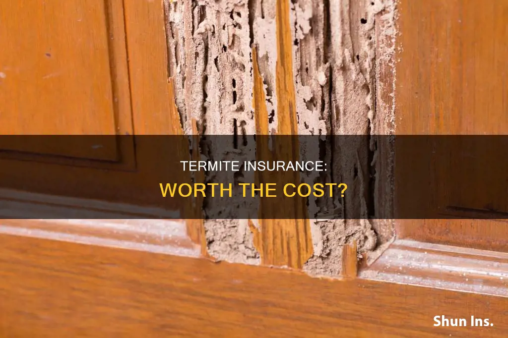 is termite insurance worth it
