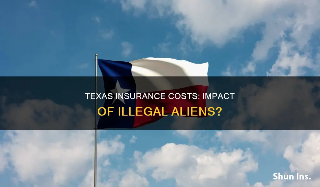 is texas insurance higher because of illegal aliens