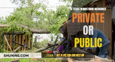 Texas Windstorm Insurance: Public or Private?