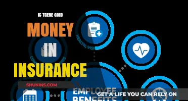 Lucrative Insurance Careers: Are They Worth It?