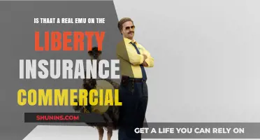 Is the Emu in Liberty Mutual's Ad Real?