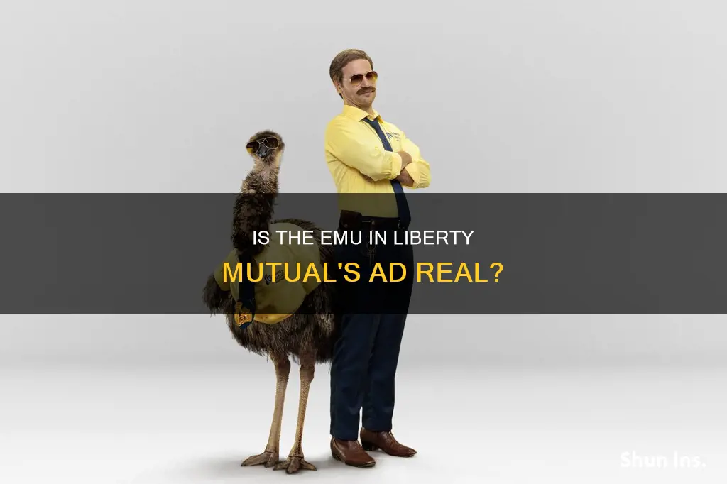 is thaat a real emu on the liberty insurance commercial