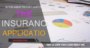 The Agent Report: A Vital Insurance Application Component