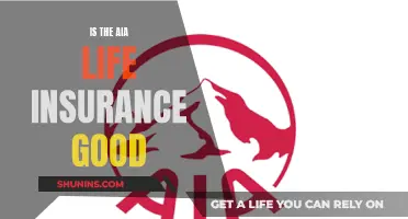 AIA Life Insurance: Is It Worth the Hype?