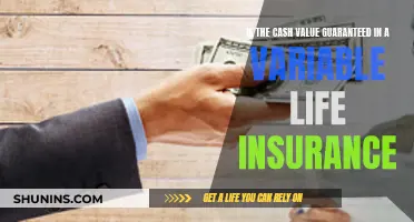 Variable Life Insurance: Is Cash Value Guaranteed?