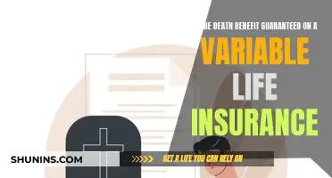 Variable Life Insurance: Death Benefit Guaranteed?