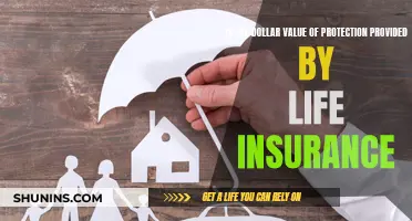 Life Insurance: Protecting Your Dollar's Worth