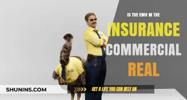 Emu in the Insurance Ad: Real or Not?