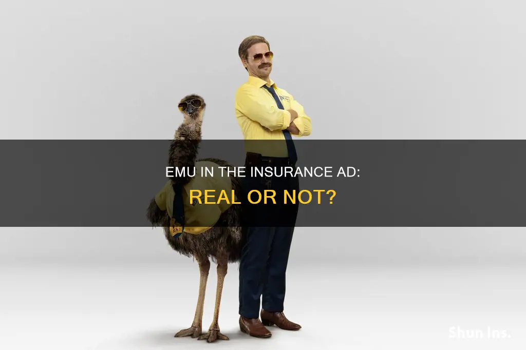 is the emu in the insurance commercial real