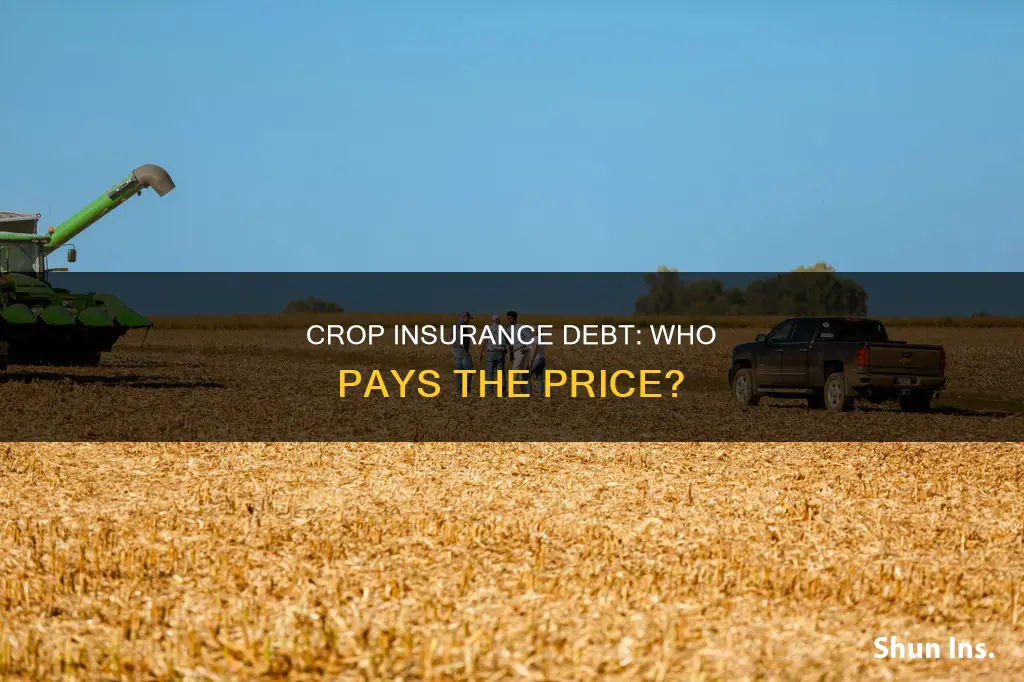 is the federal crop insurance in debt
