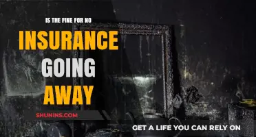 No Insurance? Fines May Soon Be History