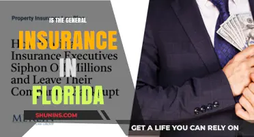Florida's General Insurance: What You Need to Know