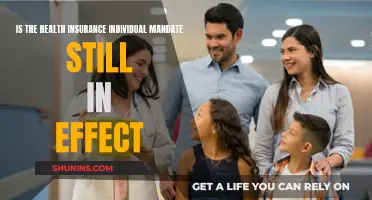 Understanding the Current Status of the Health Insurance Individual Mandate