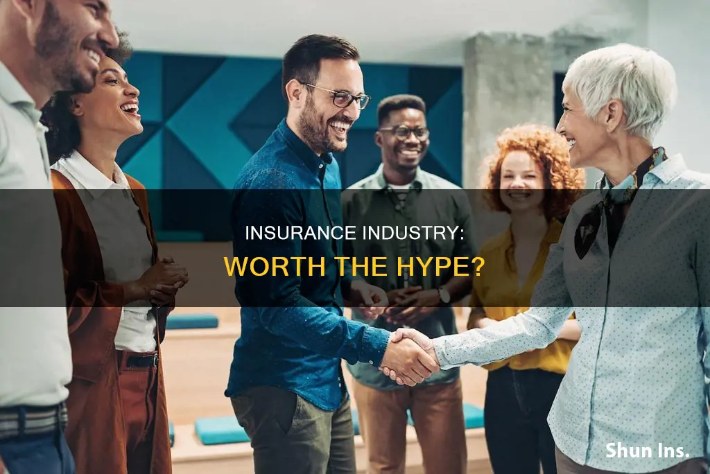 is the insurance industry worth it