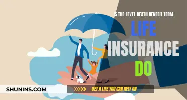 Term Life Insurance: Understanding Level Death Benefit