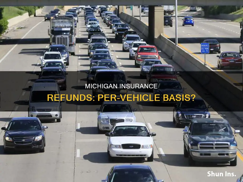 is the michigan insurance refund per vehicle