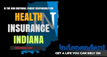 Indiana Health Insurance: Non-Custodial Parent's Responsibility Explained