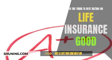 Life Insurance Rating: Is Third-Best Good Enough?