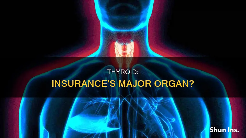 is the thyroid considered a major organ for insurance