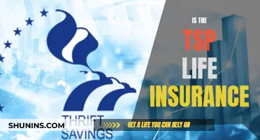 Life Insurance: TSP's Offer and Your Options