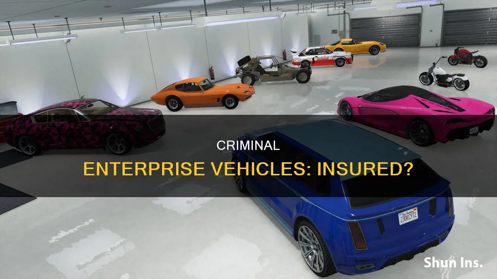 is the vehicles in the criminal enterprise starter pack insured