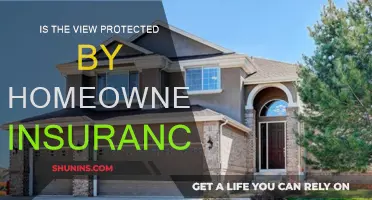 Home Insurance: What Views Are Protected?