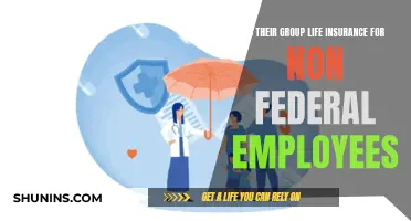 Group Life Insurance: Non-Federal Employees' Options Explored