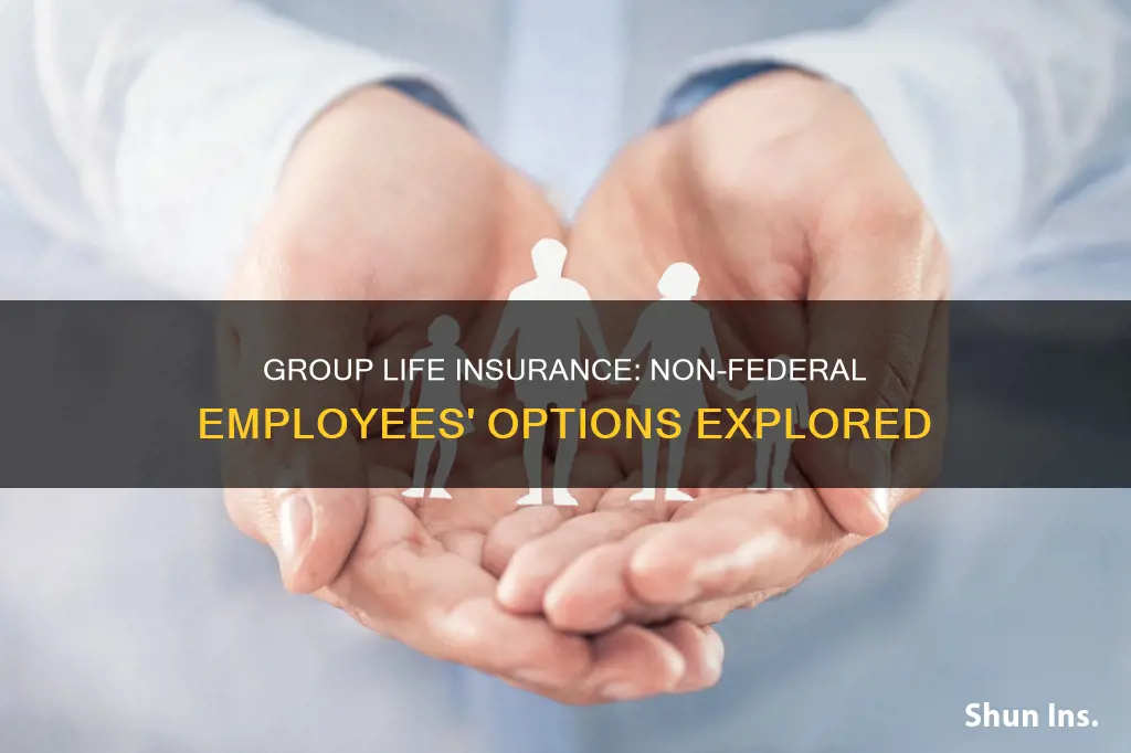 is their group life insurance for non federal employees